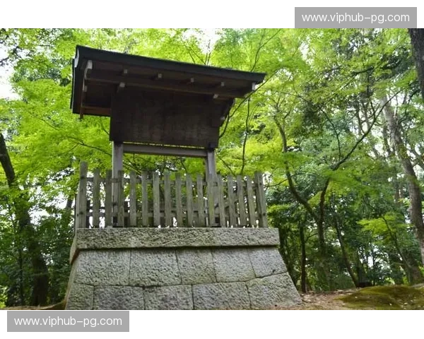 山海之蓝VS霓虹之火：清水与大阪，哪一个才是你灵魂的归宿？